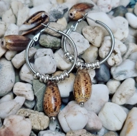Olive Shell